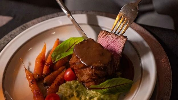 fotos da experiência