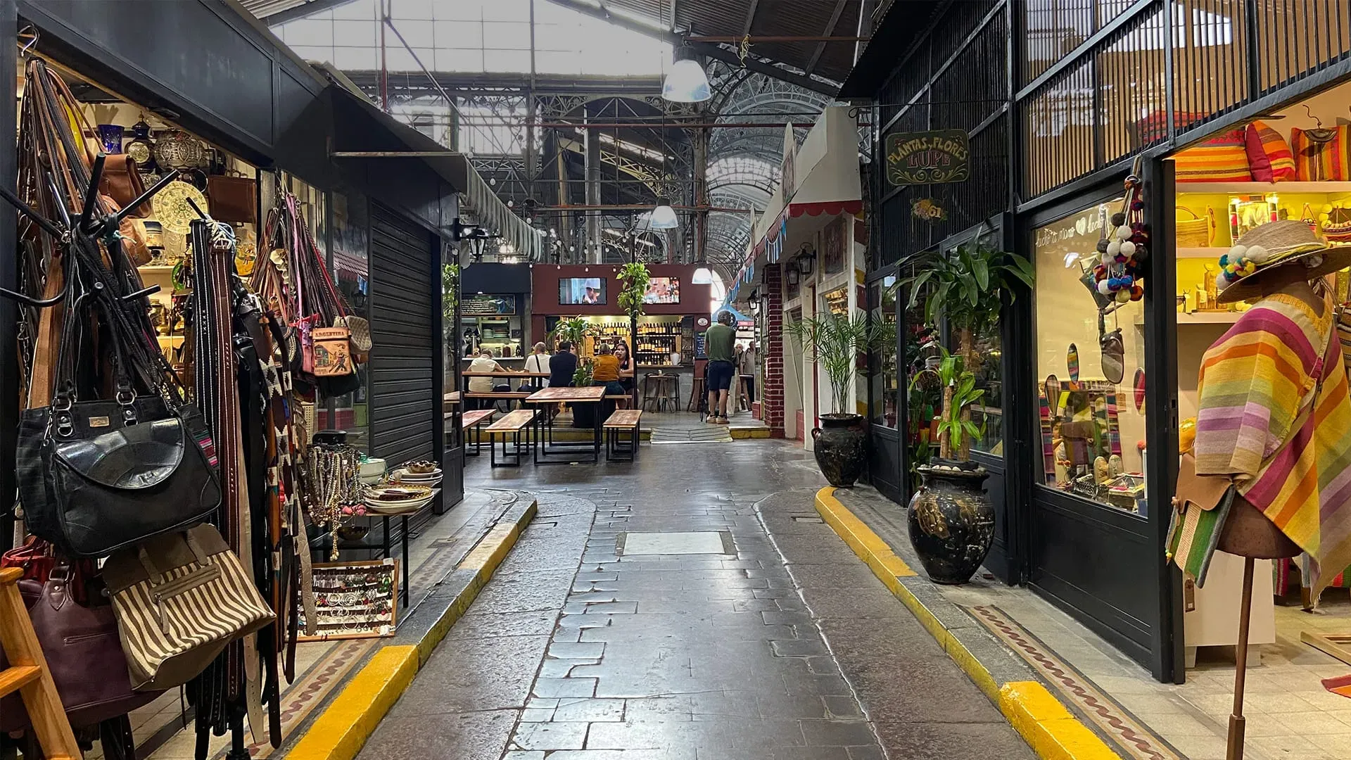 fotos da experiência